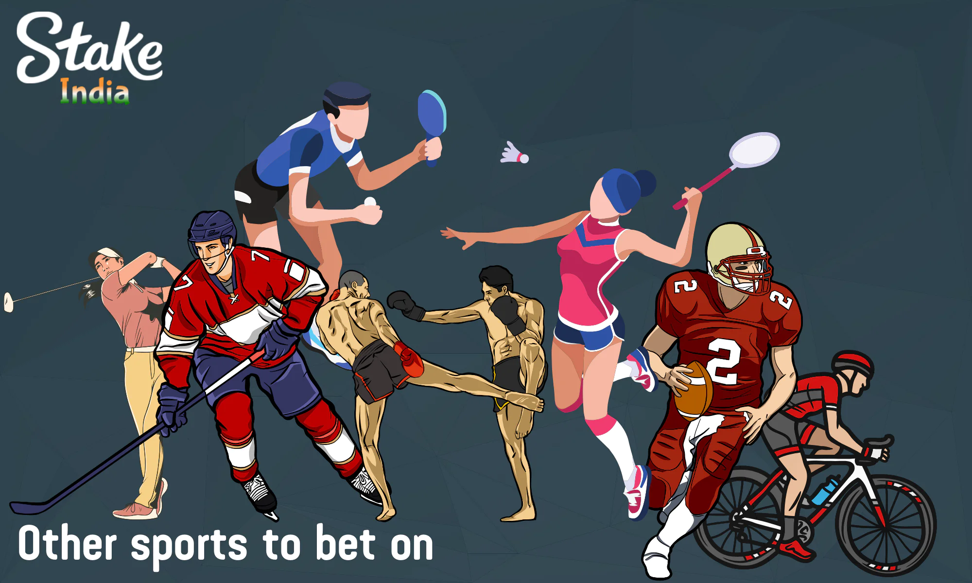 Stake offers players from India a wide variety of sports events to bet on