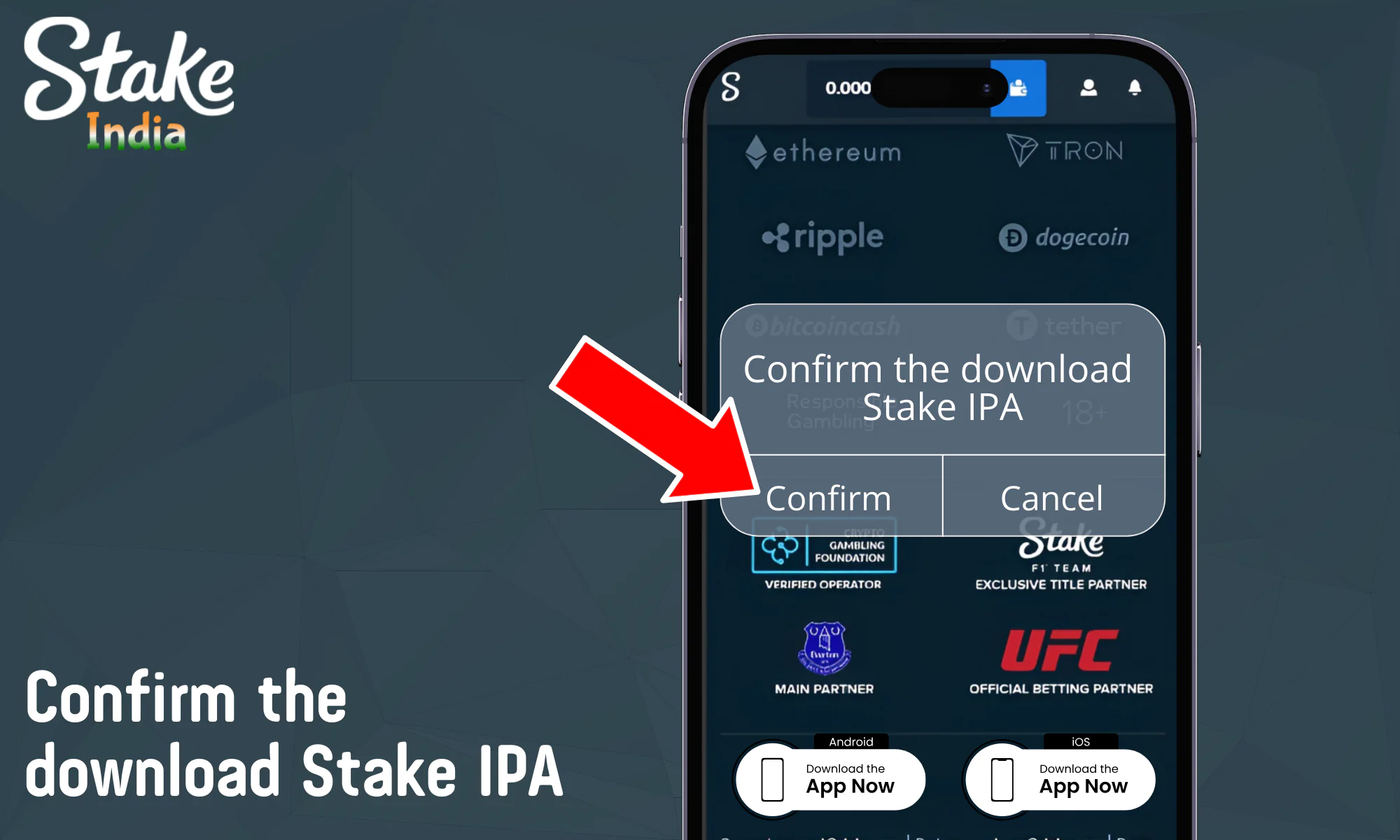 Confirm the download Stake IPA