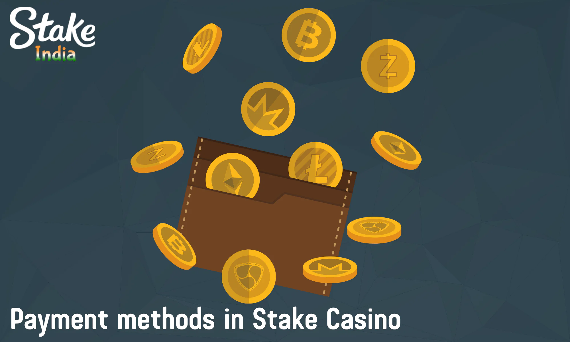 Some of the most popular payment methods at Stake Casino