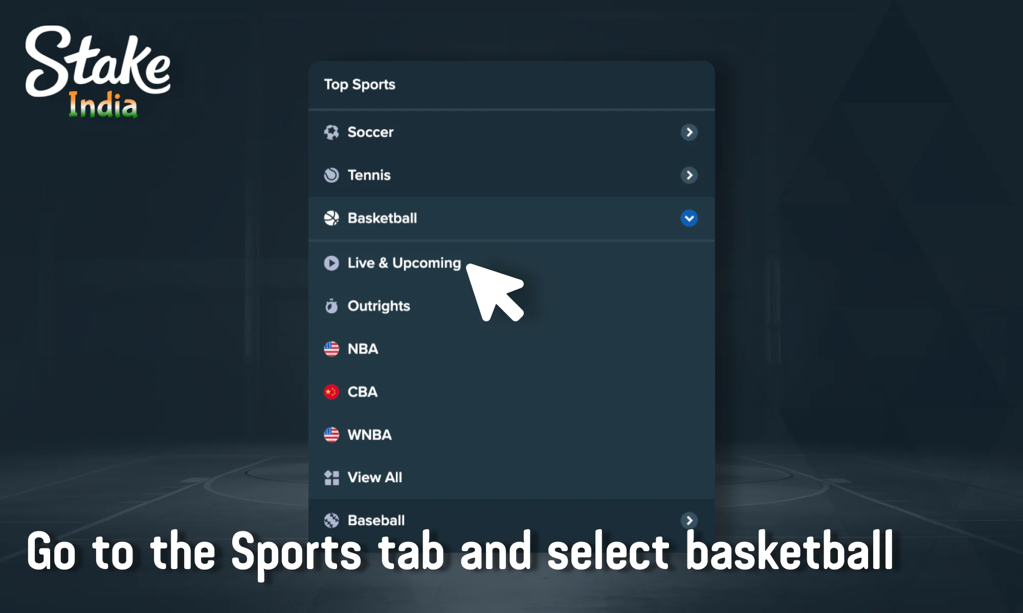 Select Basketball section at Stake India
