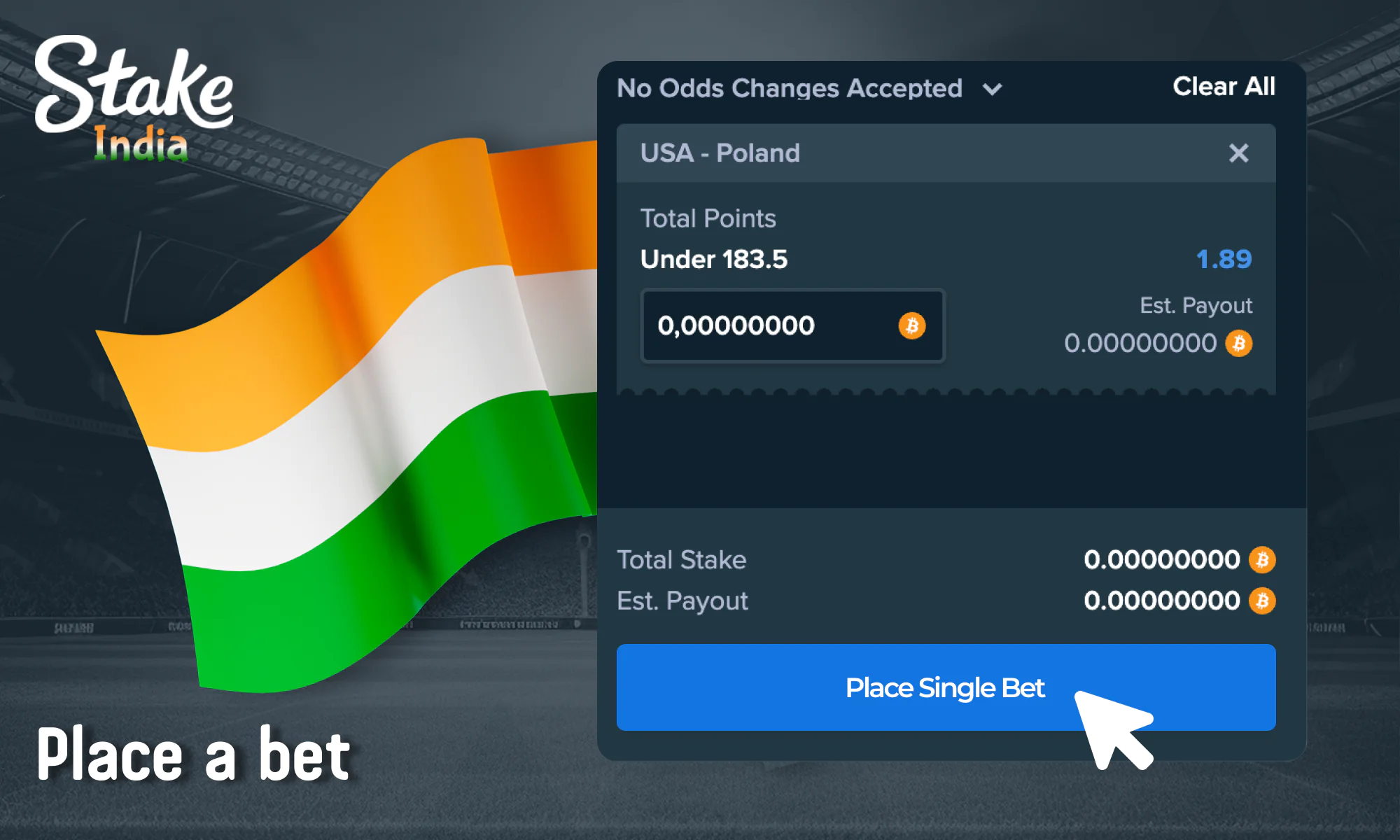 Place a bet on the Stake India website