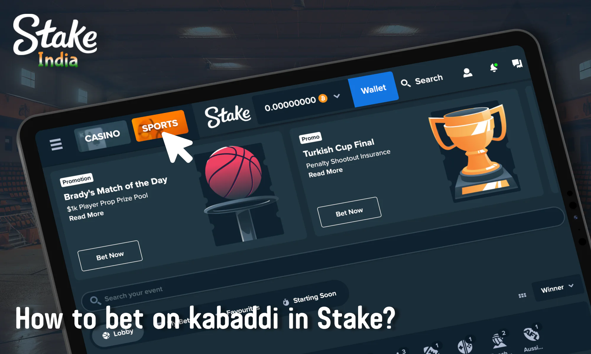 How to bet on Kabaddi in Stake India