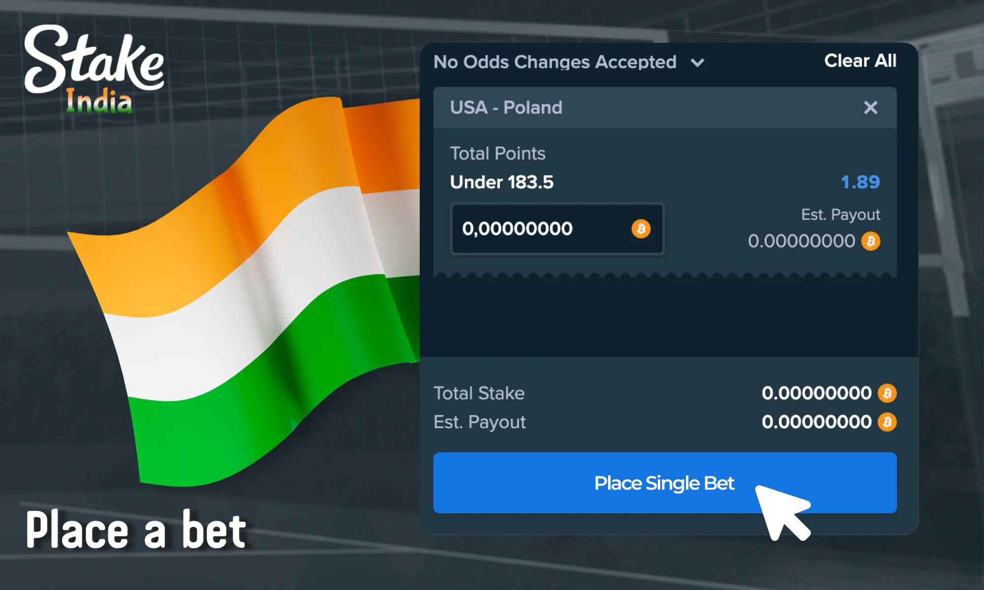 Place a bet on a volleyball match - Stake India